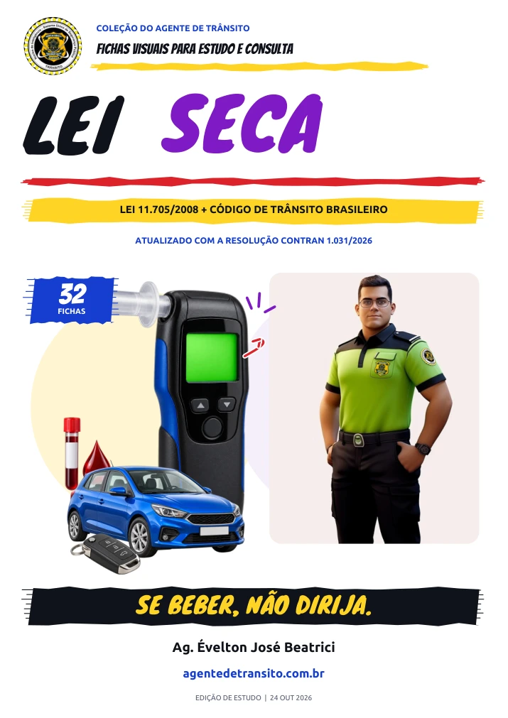 Capa do ebook Lei Seca